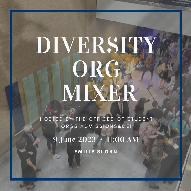 Diversity Org Mixer - 9 June 2023