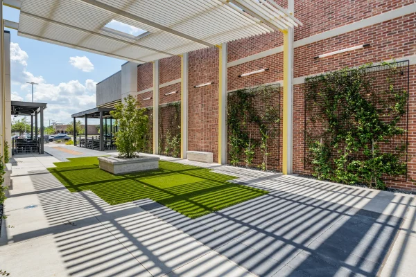 Barker Cypress 7